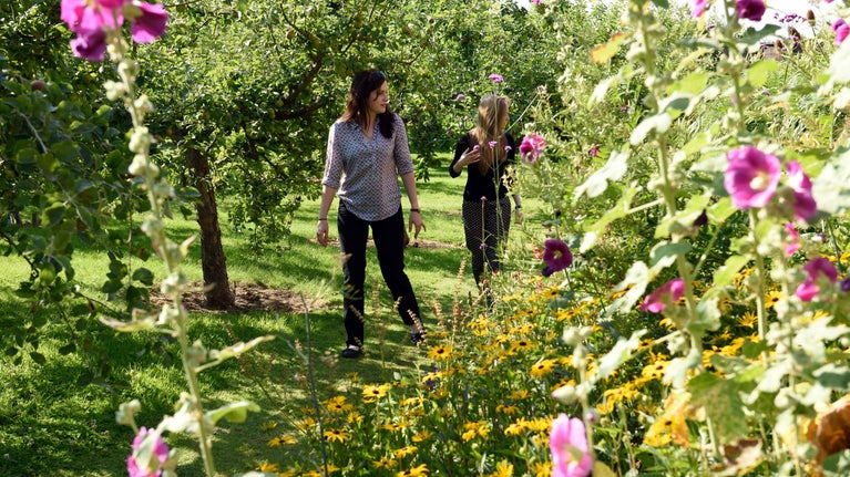 Visitors walking in the walled garden at Berrington Hall, Herefordshire